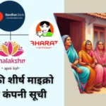 best Micro Finance Loan company in inida list hindi